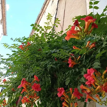 Le De La Placette - Coeur De Village Holiday home *